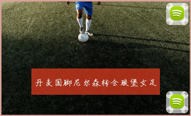 丹麦国脚尼尔森转会狼堡女足