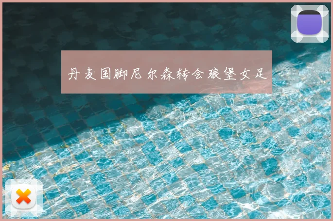 丹麦国脚尼尔森转会狼堡女足