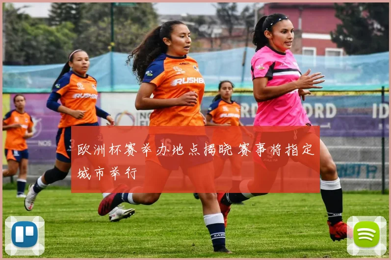 欧洲杯赛举办地点揭晓 赛事将指定城市举行