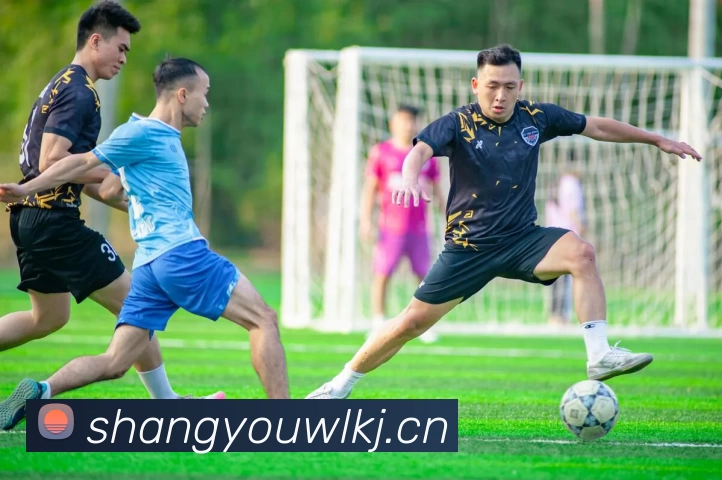 hth官方登录入口服务体系